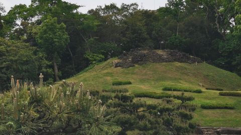 麗しい山容をとくと鑑賞できる清澄庭園の「富士山」【プロハイカー斉藤正史のTOKYO山頂ガイド File.81】