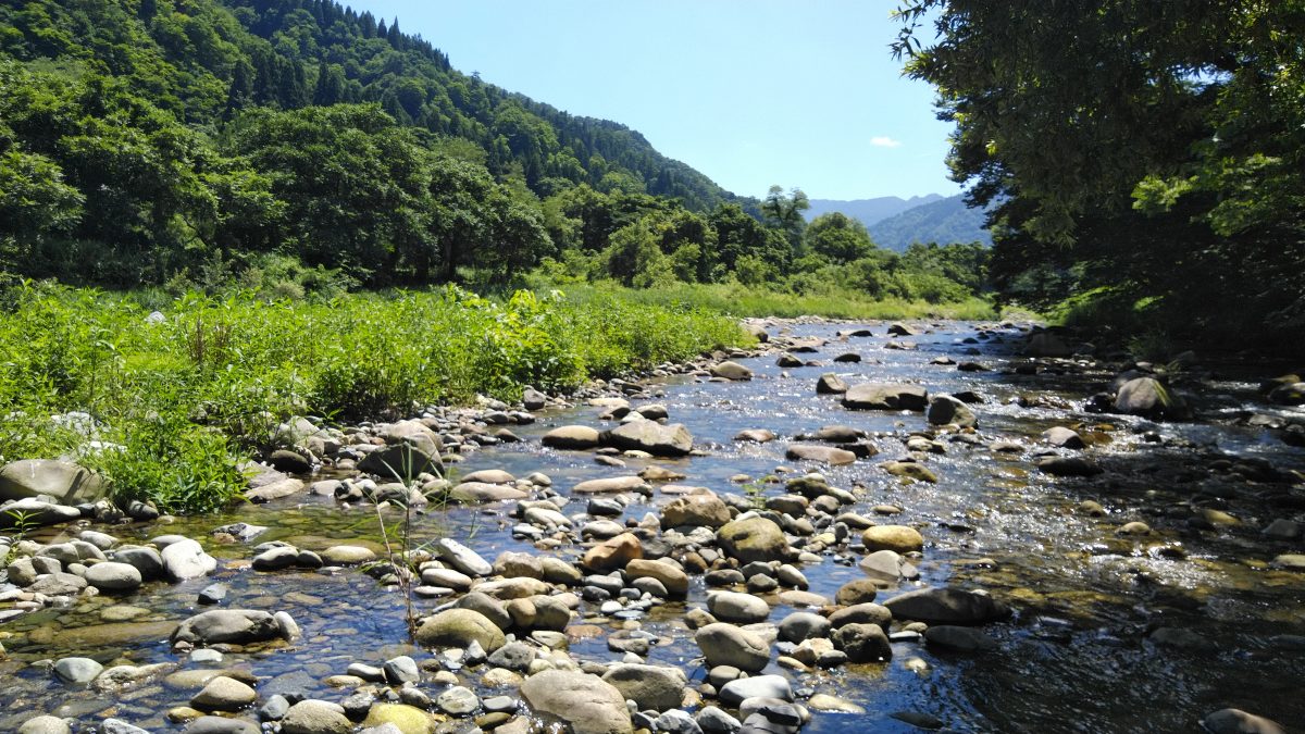 渓流の景観