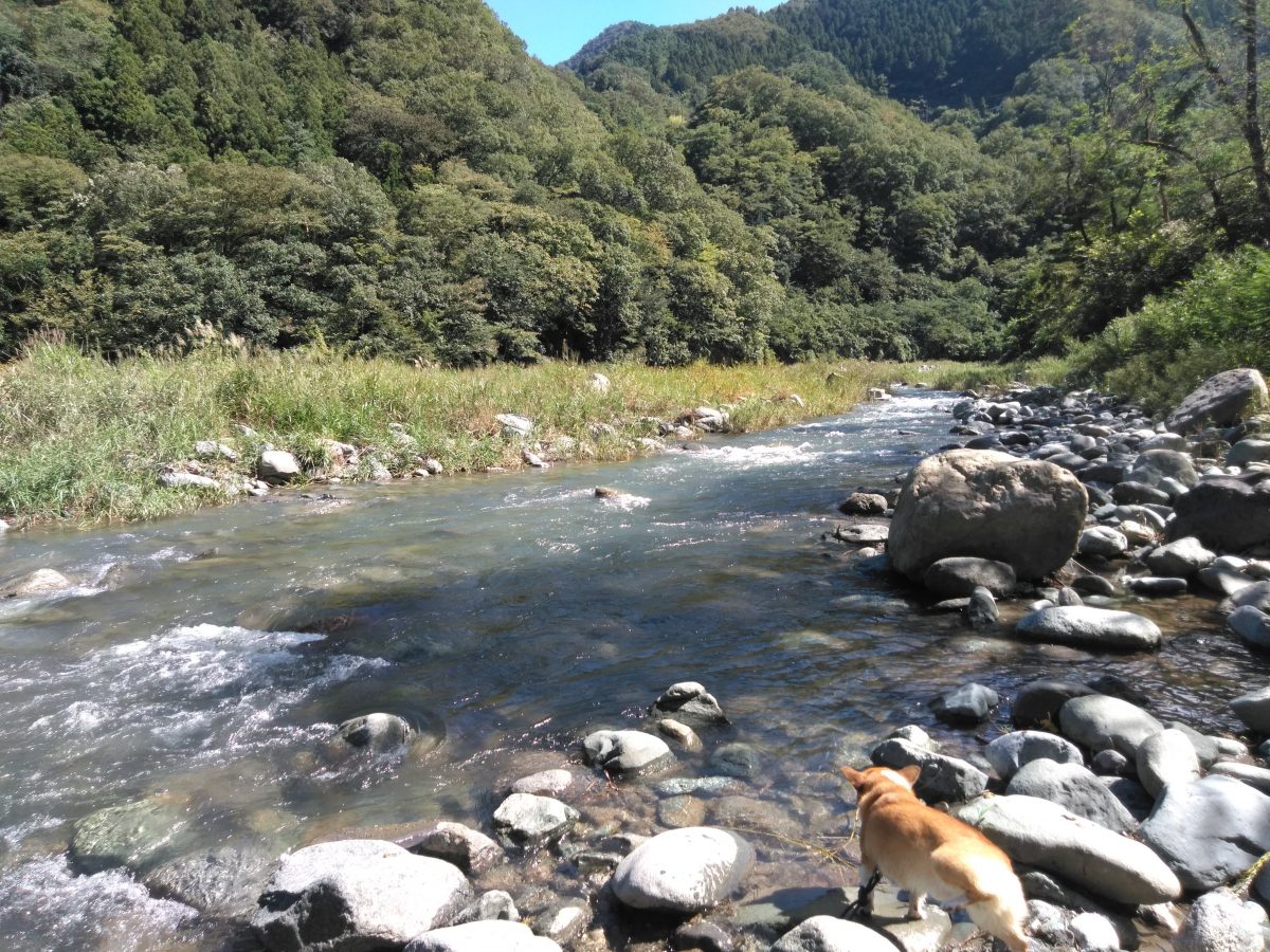 青根キャンプ場