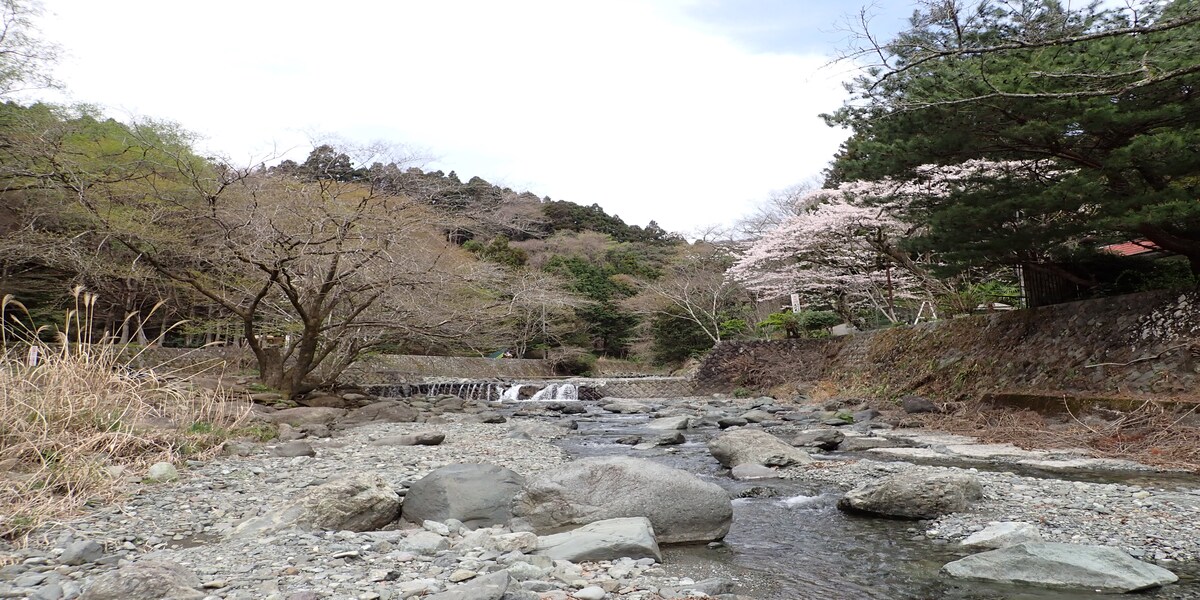 神奈川県のデイキャンプのおすすめスポット6選！神奈川県をおすすめする理由からそれぞれの特徴まで解説