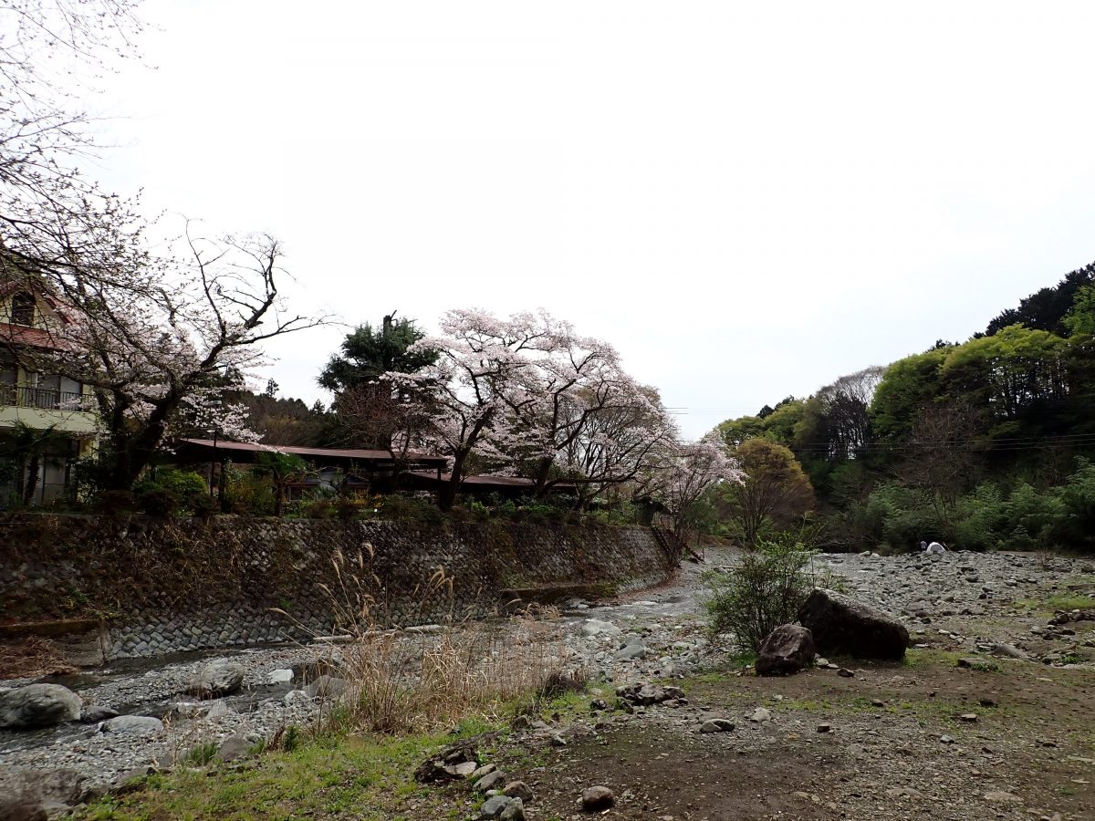 滝沢園キャンプ場