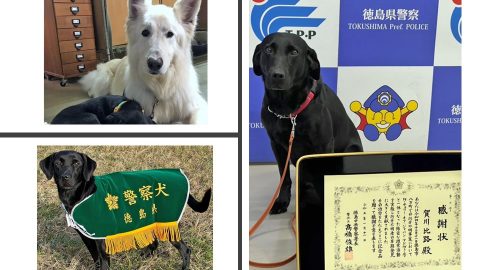 救助犬の仲間たちのものがたり～ボランティアドッグ育成センターのクレア、太一、ジャンゴ【 災害救助犬コアと家族の日記 Vol.19】