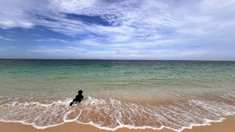 台湾版「猫島」、美しすぎる海が自慢の島…４つの島を紹介【台湾の隠れ家リゾート・澎湖諸島めぐりvol.3】