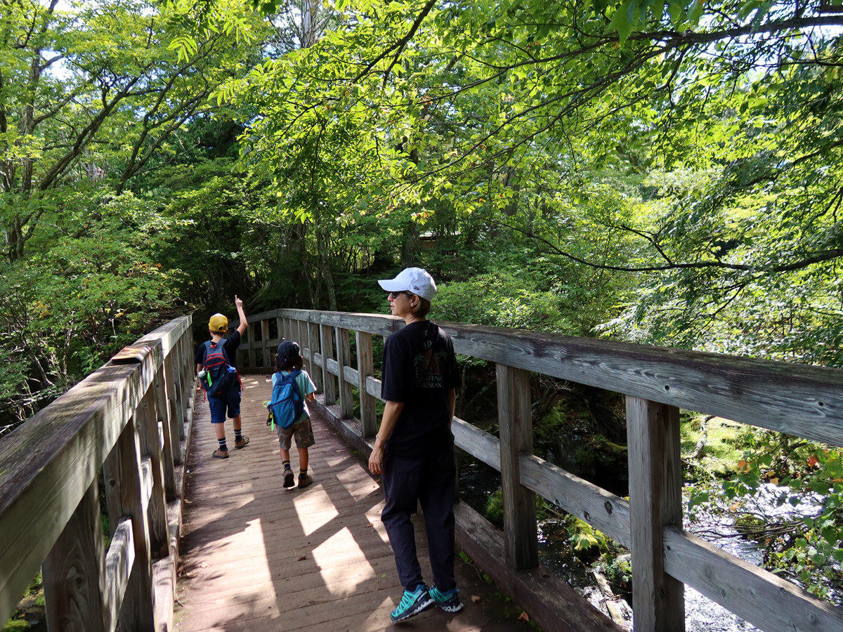 湯ノ湖から流れる川を渡る橋