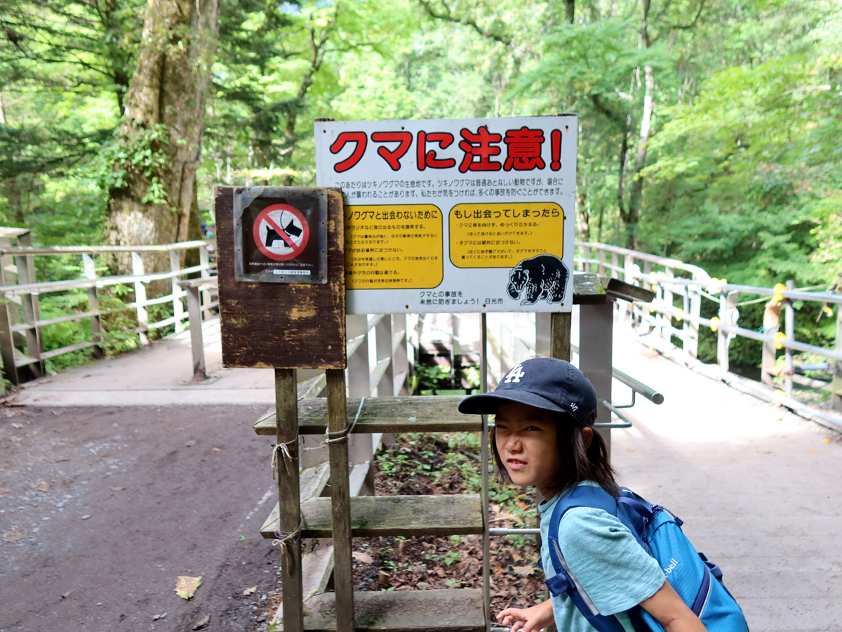 クマ注意の看板