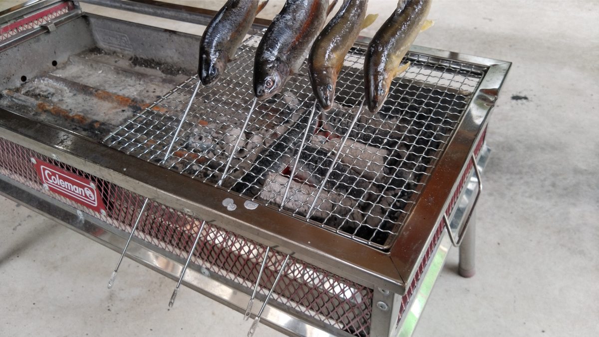 バーベキューコンロに立て焼かれる川魚