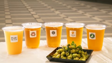 国産ホップが減少するなか、サッポロビール開発のホップ「ソラチエース」を生産拡大する意義とは