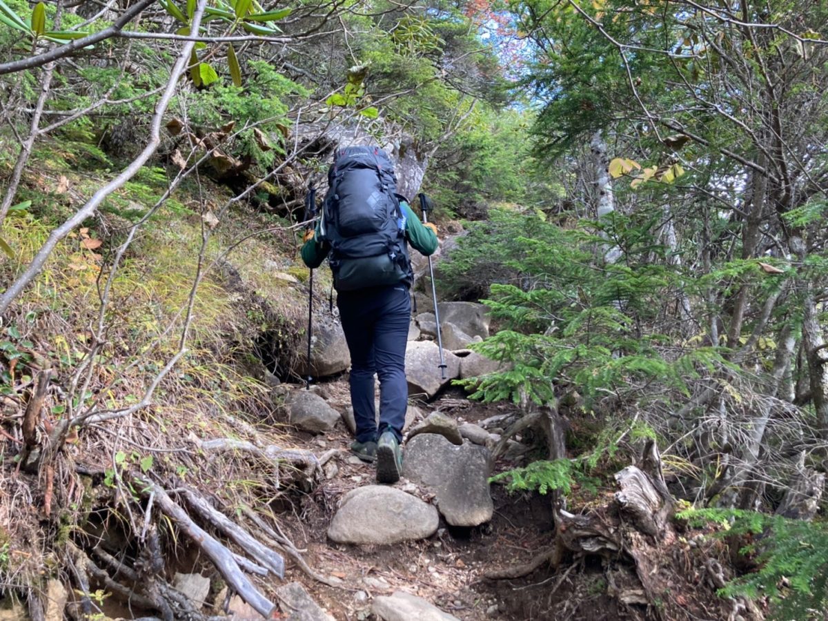 トレッキングポール　登山