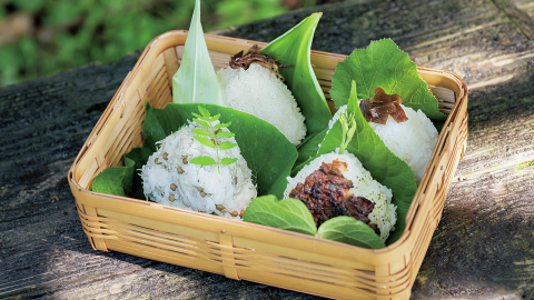 具材もつつむ葉っぱも自然からいただいちゃおう！「里山おにぎり」食べてみませんか？