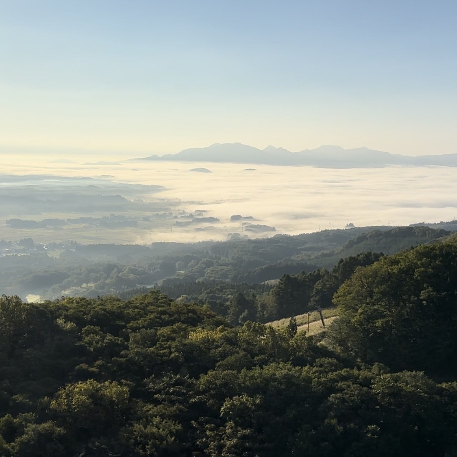 雫石町の雲海