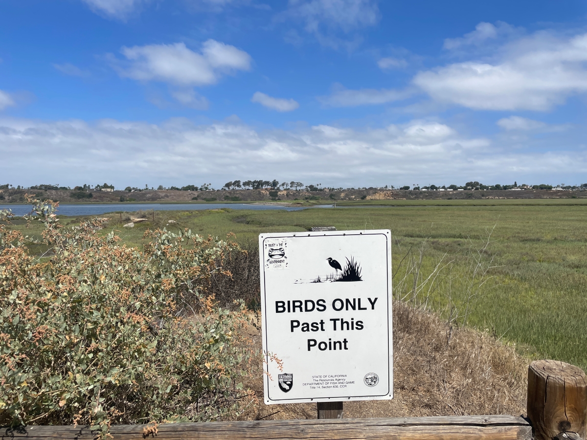 ロサンゼルス屈指の人気を誇るビーチ。その近くに広がる2カ所の「野鳥のサンクチュアリ」とは