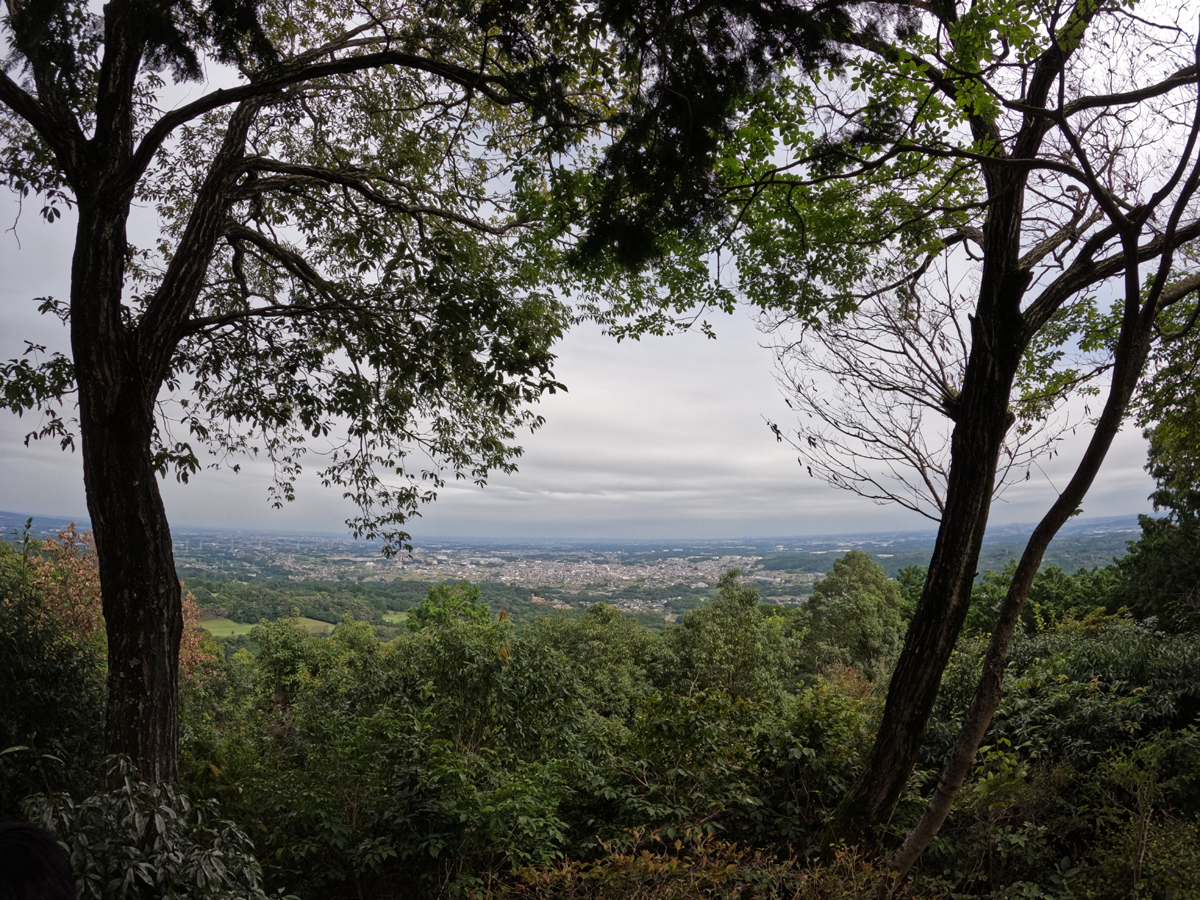 山頂からの景色