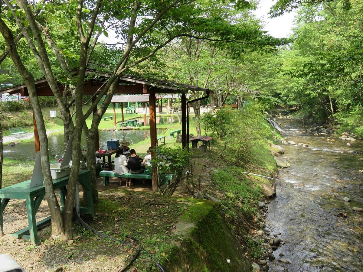 敷地内を流れる川