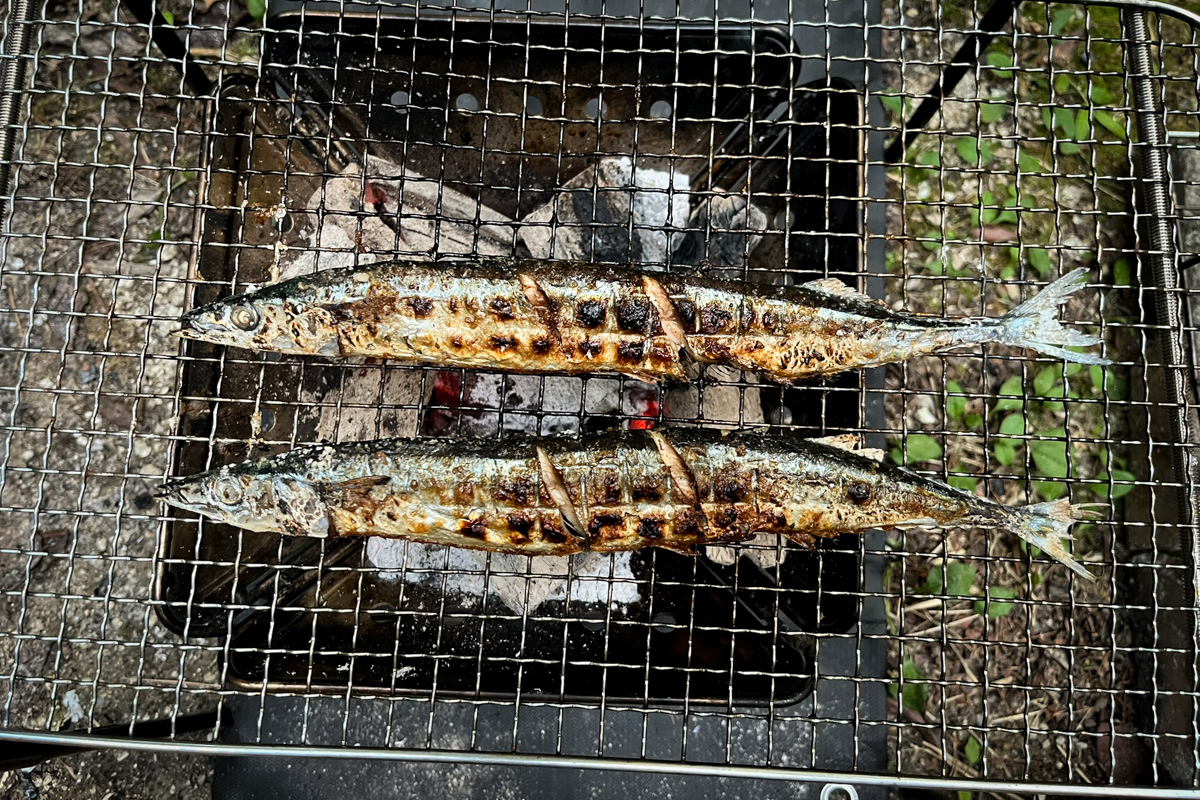 焼きあがったさんまの炭火焼き