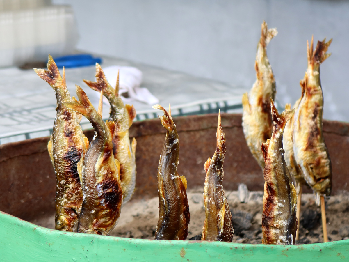 鮎の塩焼き