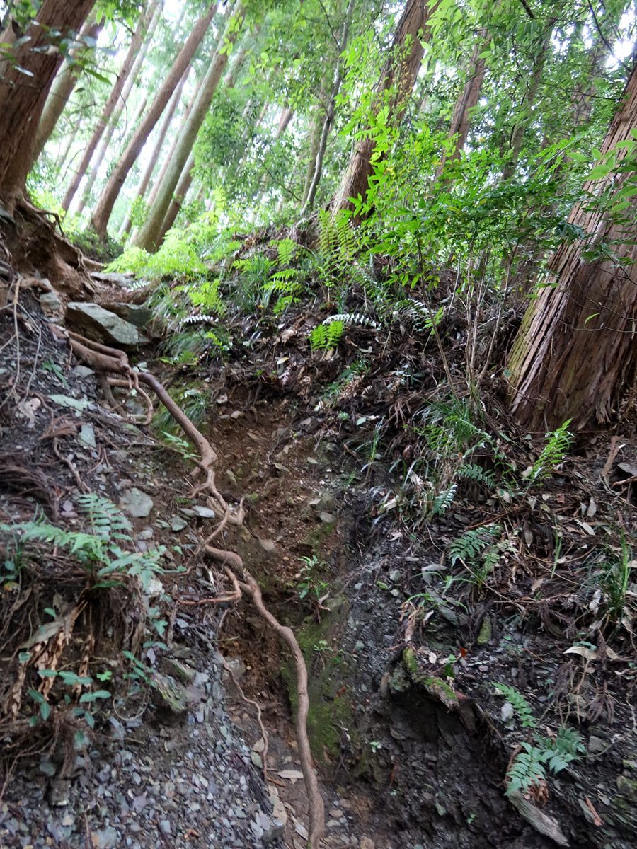 荒れた山道