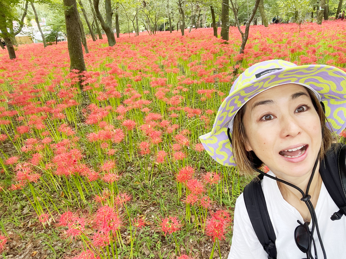 たまには平日ひとり旅。埼玉県日高市の「巾着田曼珠沙華まつり」と日和田山トレッキングへ