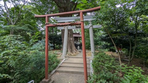 散策しているうちに登頂していた北区・若宮八幡神社の八幡山【プロハイカー斉藤正史のTOKYO山頂ガイド File.104】