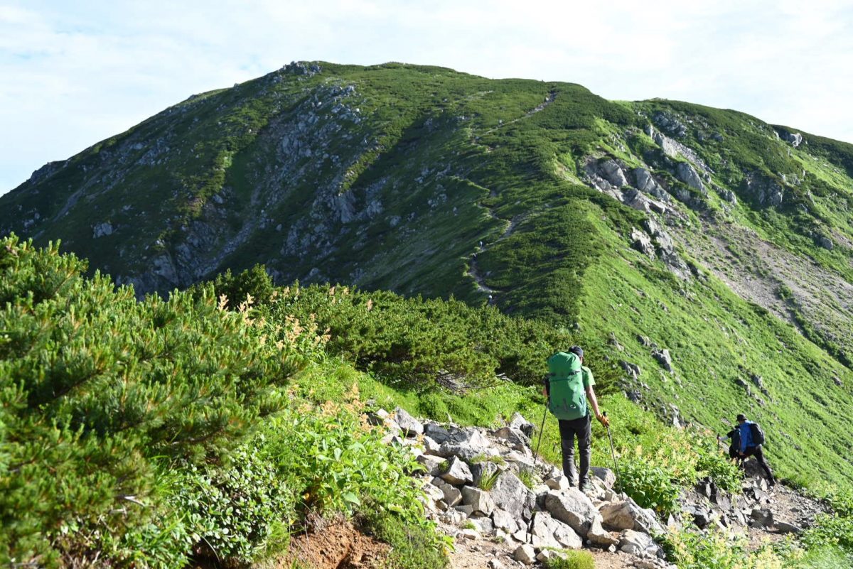 登山道