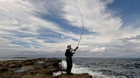 小型青物イナダなどを狙えるライトショアジギングとは？シンプル＆手軽で海釣り初心者におすすめ！