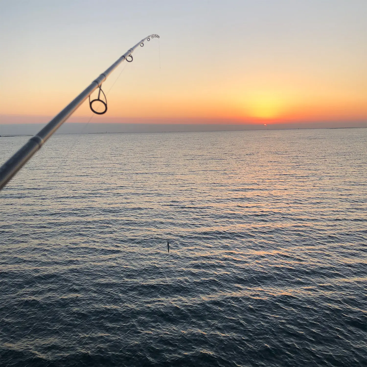 釣り竿と海と夕日