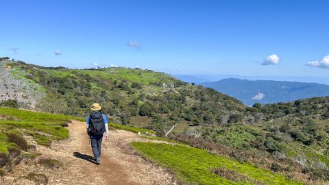 “藤原岳”を歩くと、そこには疲れも吹っ飛ぶ絶景が待っていた！大貝戸ルートをご紹介