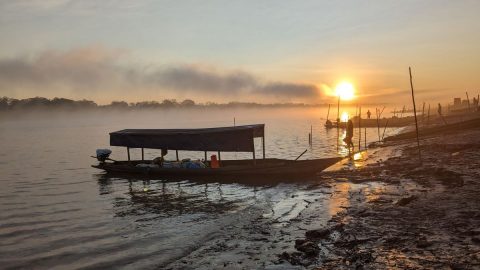 【佐藤ジョアナ玲子のアマゾン旅 vol.10】方向音痴でも問題なし！それが川下り旅の魅力…でもウカヤリ川の分岐点、どっち？