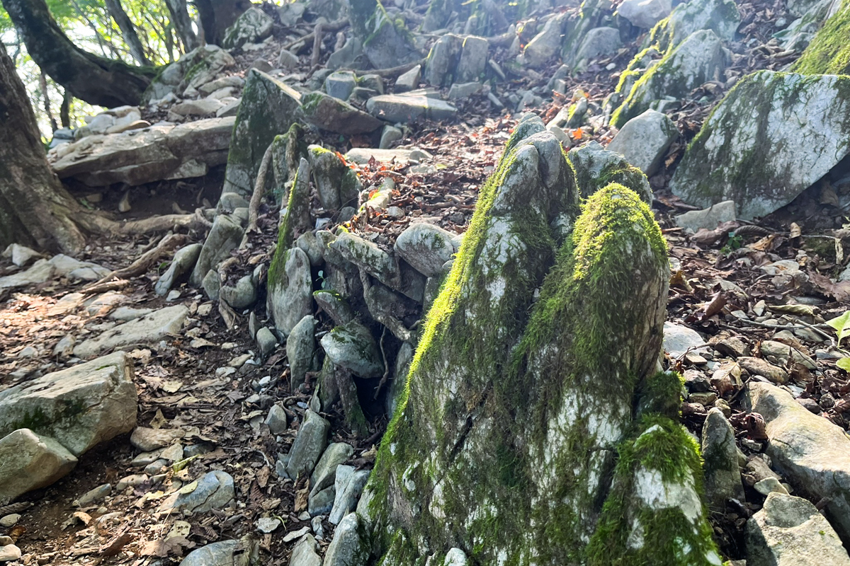 浸食された岩