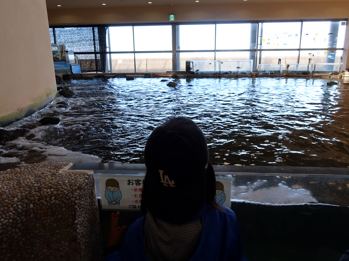 海辺の広場にある大きな水槽