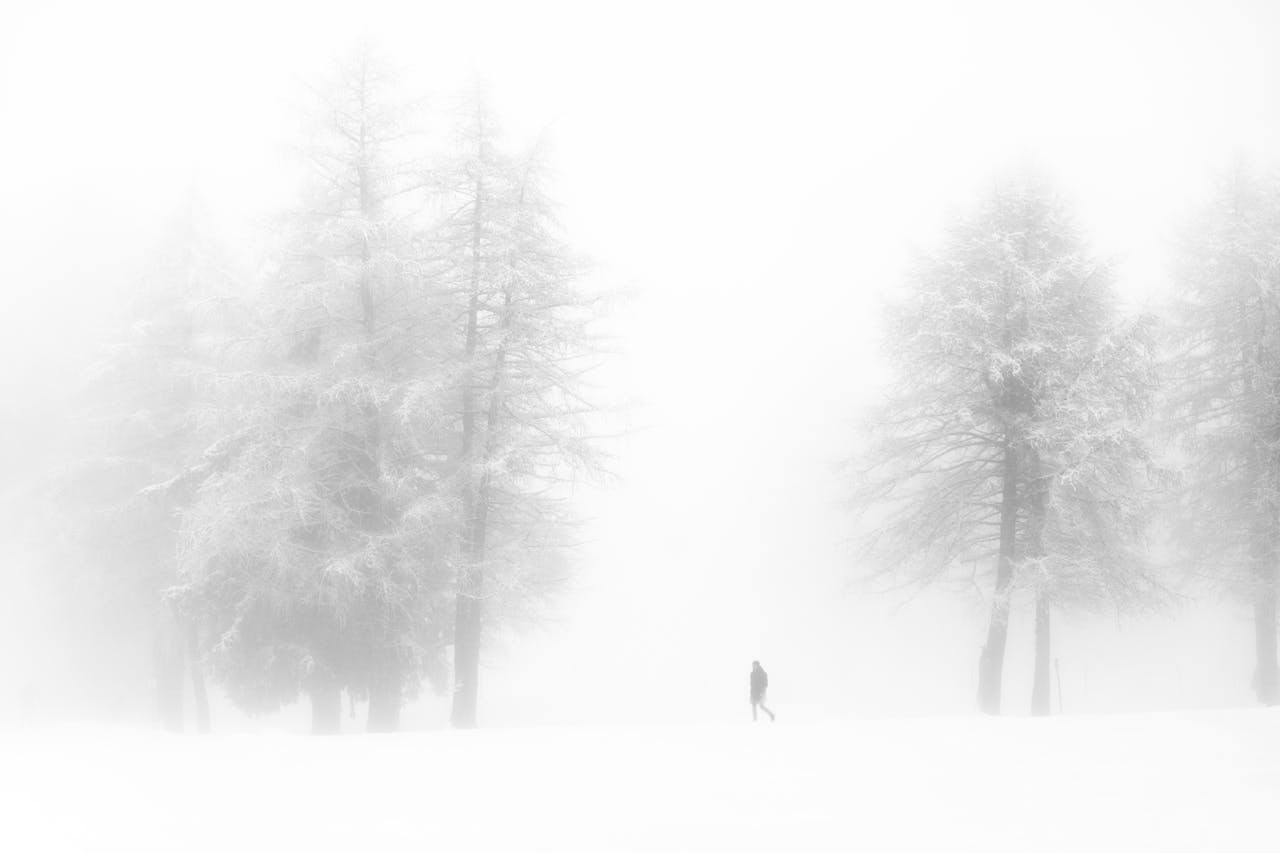 雪道を歩く人物