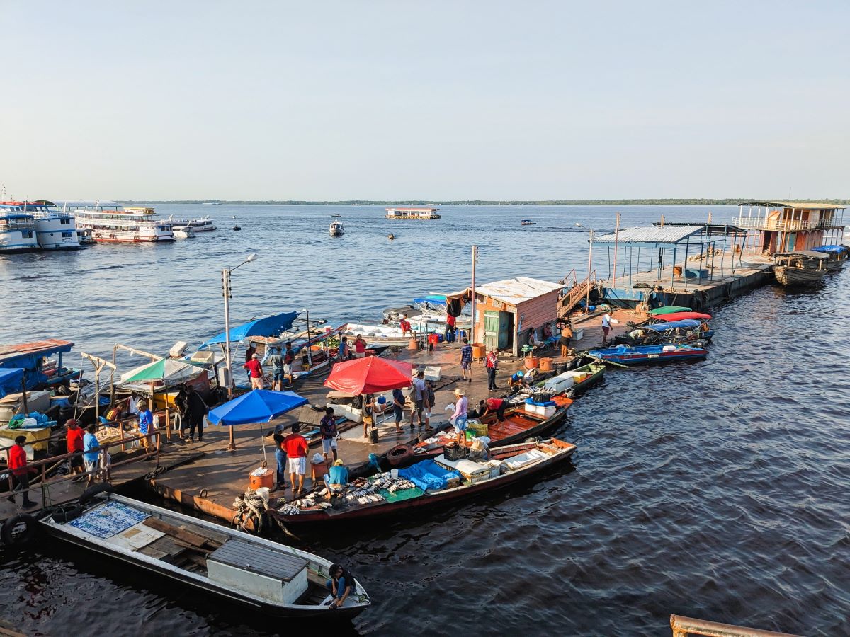 マナウスの魚市場