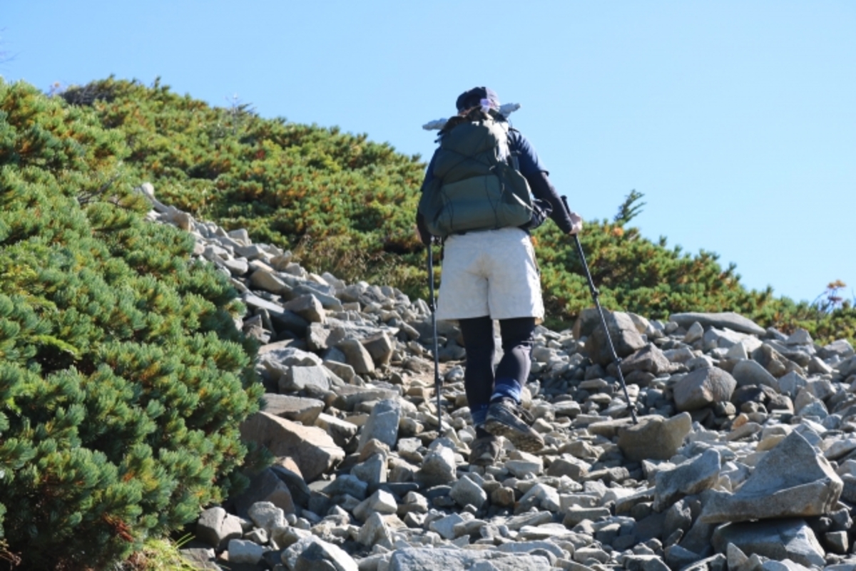 登山　ストック