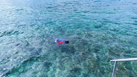 メキシコ・ユカタン半島〜リビエラマヤで心ゆくまで楽しんだスノーケル体験が素晴らしかった