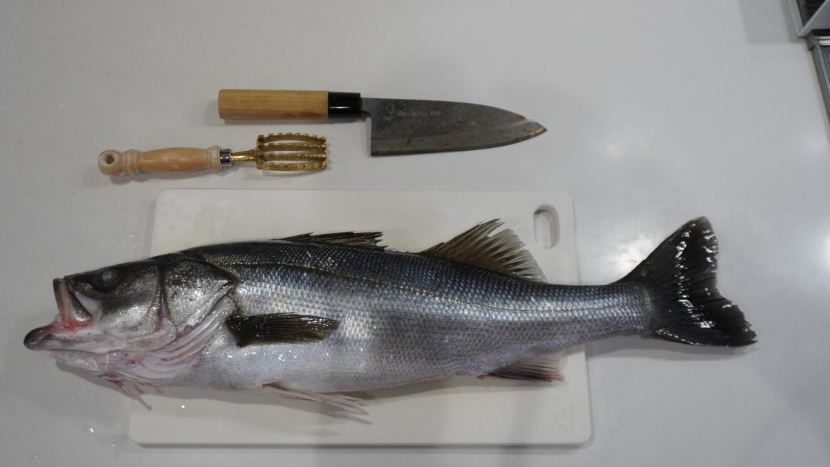 釣った魚は自分でさばく！ スズキを３枚おろしにする方法を詳細解説