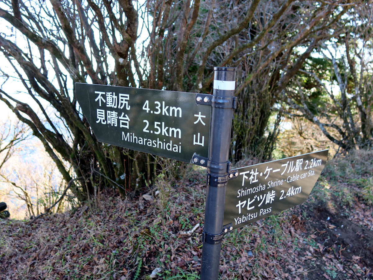 分岐の看板