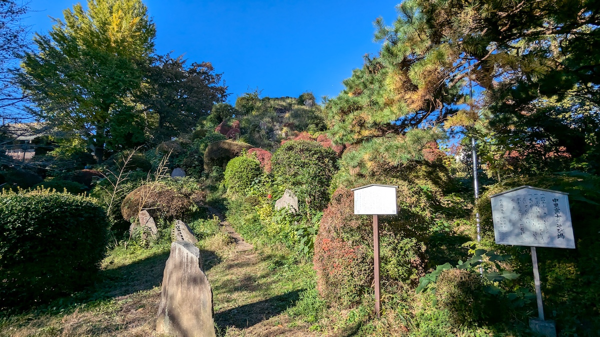 高さ12ｍで登山道も整備！練馬区・大泉八坂神社のミニ富士山【プロハイカー斉藤正史のTOKYO山頂ガイド File.114】