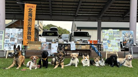 救助犬の仲間たちの物語～北海道災害救助犬【 災害救助犬コアと家族の日記 Vol.24】