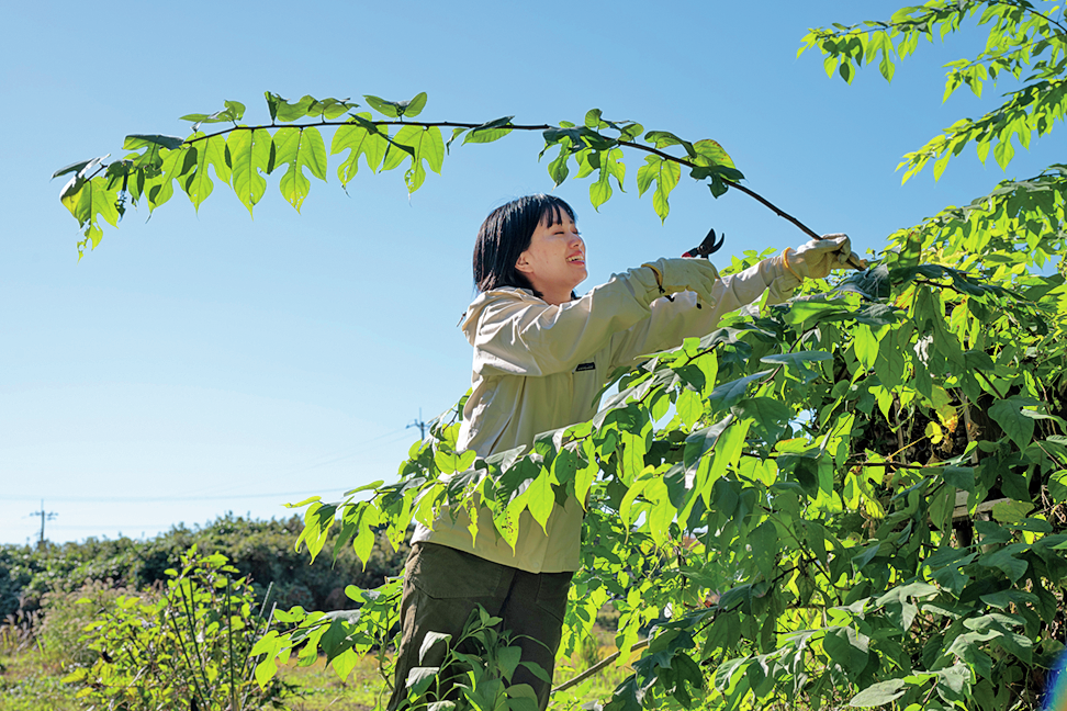 紙ができるまで、の行程知ってる？里山の植物で和紙づくりに挑戦したぞ