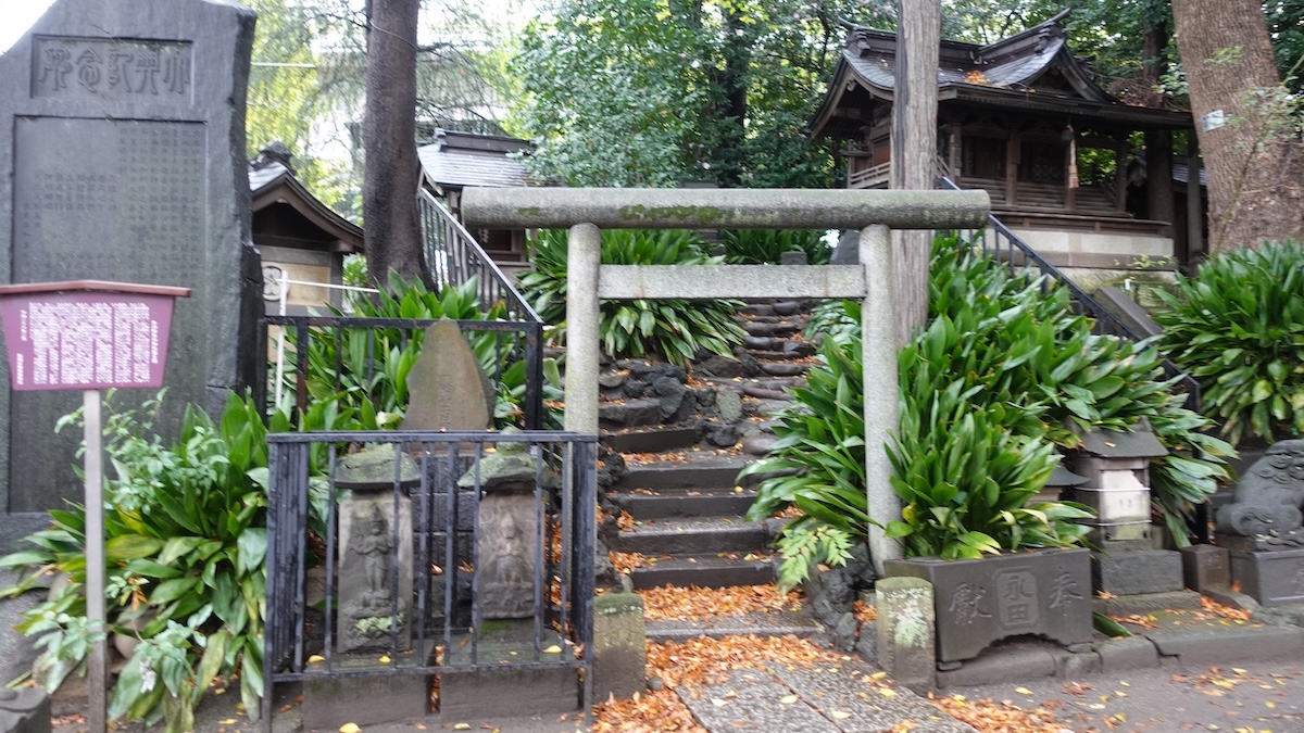 19世紀中ごろに築かれた板橋区・氷川町氷川神社のミニ富士山【プロハイカー斉藤正史のTOKYO山頂ガイド File.121】