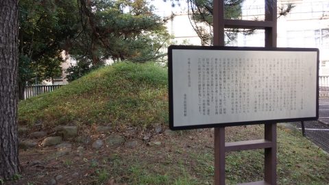 杉並区内に唯一残されている富士塚を井草八幡宮に訪ねて【プロハイカー斉藤正史のTOKYO山頂ガイド File.118】