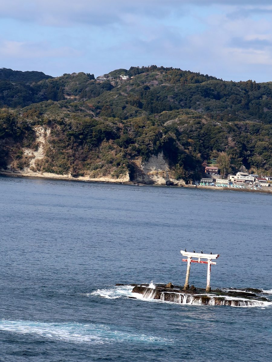 八幡岬公園から見える勝浦湾