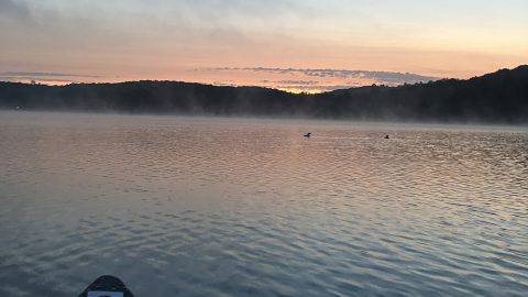 BE-PAL本誌では紹介しきれなかった！湖の宝庫、カナダ・オンタリオのアウトドアリゾート体験記