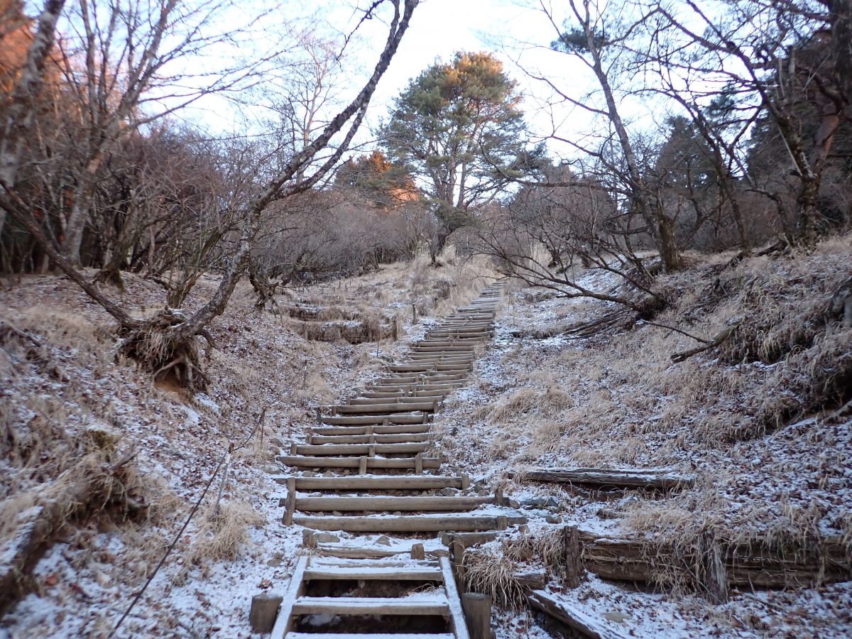 大倉尾根