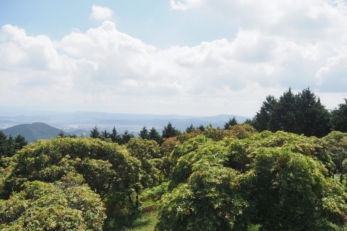 シダンゴ山山頂