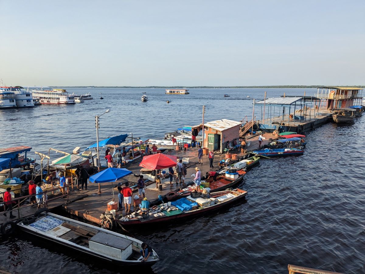 珍しい魚が売り買いされるマナウスの魚市場。