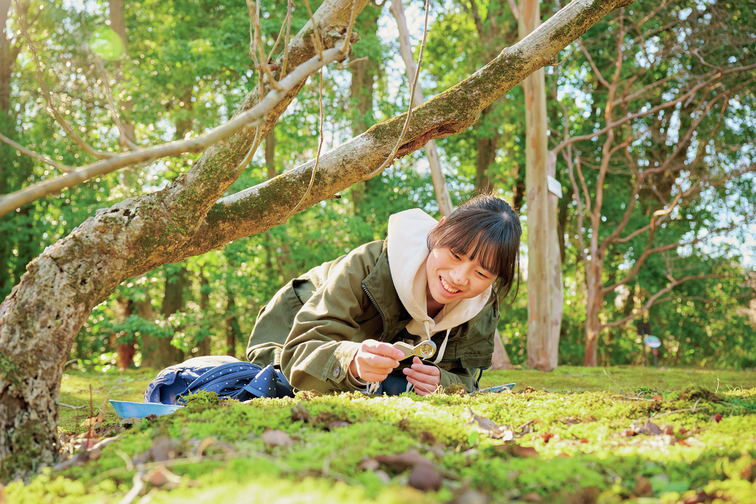 コケに魅せられたジュニア学芸員・平山 美ら海さんの夢は新種を発見すること！