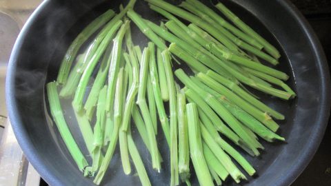 イタドリ、ヨモギ、ツクシ…食べられる雑草を春の野原で探そう！