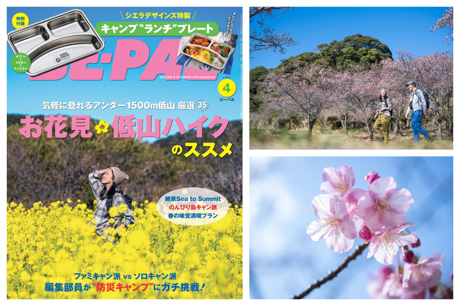 今すぐ春山に登りたくなる！本日発売のビーパル4月号大特集は「お花見×低山ハイクのススメ」