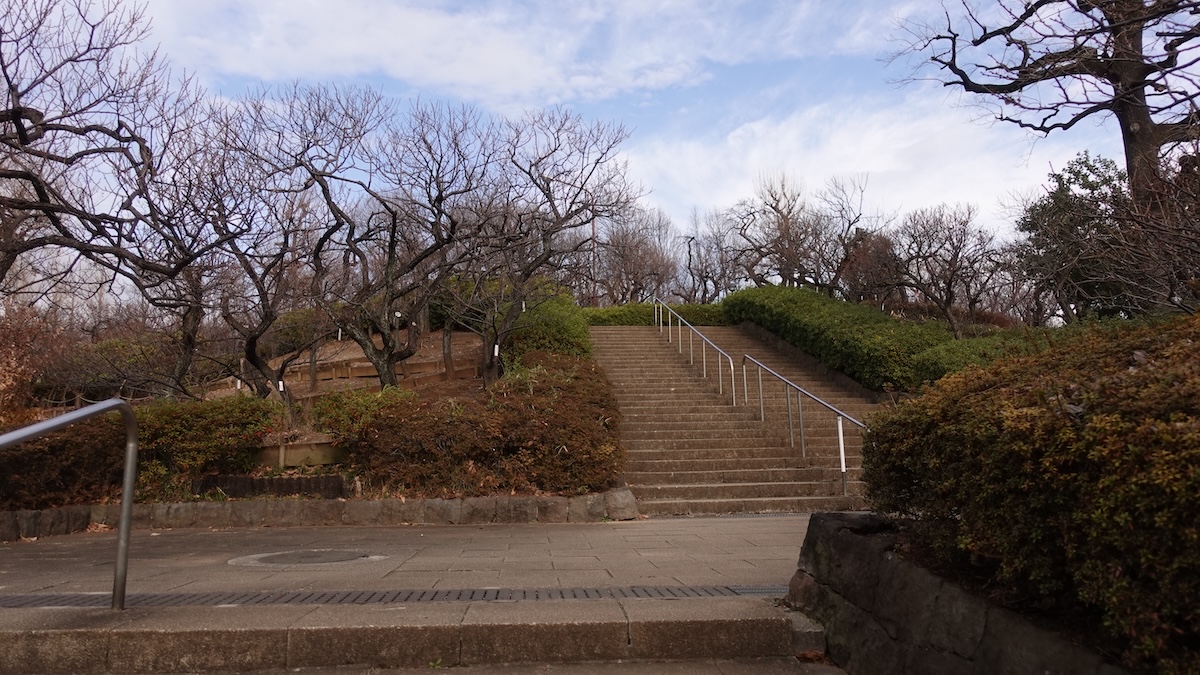 意外にも財閥にちなんでいた世田谷区の「根津山」【プロハイカー斉藤正史のTOKYO山頂ガイド File.130】