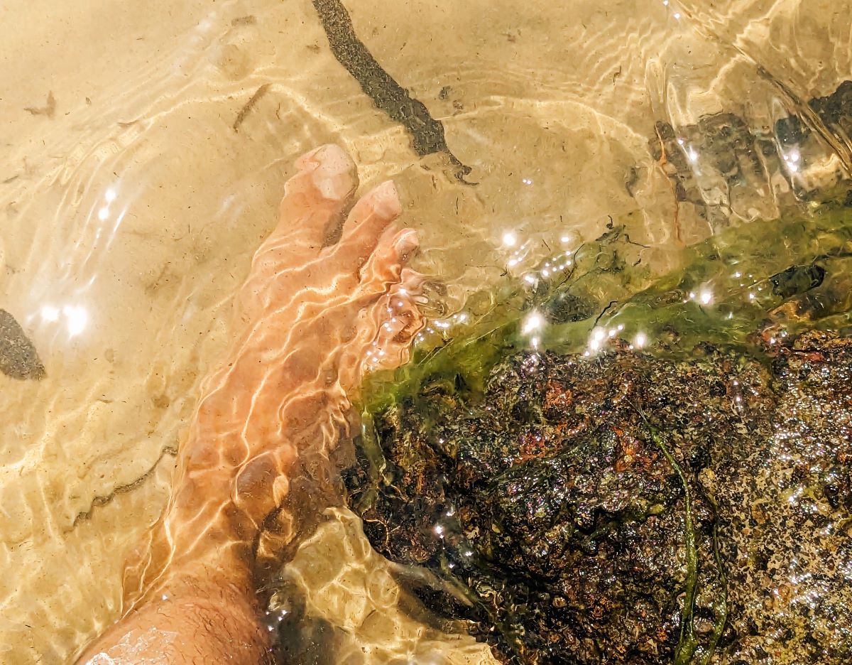 透明度のあるタパジョースの水